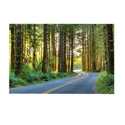 999Store Green & Black Forest Wall Art image 5