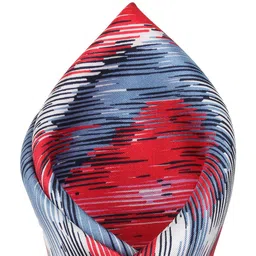 Alvaro Castagnino Men Blue & Red Printed Silk Pocket Square image 2
