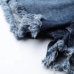 The Roadster Lifestyle Co. Women Frayed Denim Shorts image 5