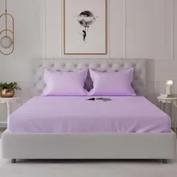 Stoa Paris Lilac Polyester 300 TC Date Night King Fitted Bedsheet With Pillow Covers-picture-30