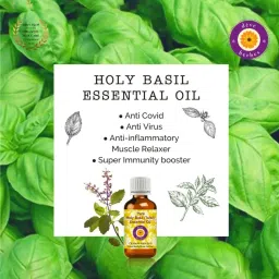 Deve Herbes Pure Holy Basil Essential Oil with Glass Dropper - 2 ml image 3