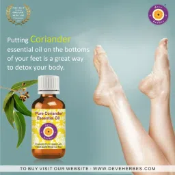 Deve Herbes Pure Coriander Essential Oil with Glass Dropper - 10 ml image 4