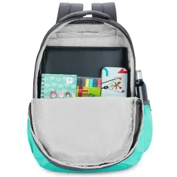 Skybags 28 Ltrs Grey Medium Backpack image 4