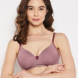 Clovia Dark Pink Striped Full Coverage Non-Wired T-Shirt Bra image 1