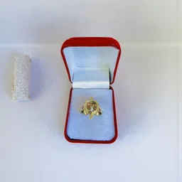 R G MART Unisex Ashtadhatu Tortoise Trishakti Shank Para Gold Plated Ring-image-90