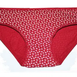 coutiepie fabric Low Rise Bikini Panty with-Maroon, Blue, Maroon Color image 2