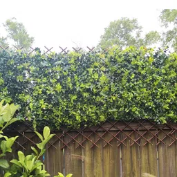 landgarden Expandable Garden Trellis Plant Support Willow Lattice Fence Panel for Climbing Plants Vine Ivy Rose Cucumbers Clematis 36X92 Inch image 4