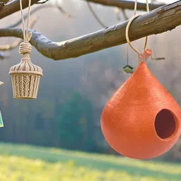 zenrise ZENRISE® Clay Bird House for breeding, Egg Laying pet and Free Birds (Terracotta, Brown, 14 cm) - 1 Piece image 2