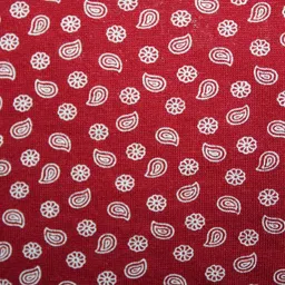 coutiepie fabric Low Rise Bikini Panty with-Maroon, Blue, Maroon Color image 4