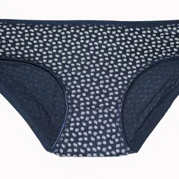 coutiepie fabric Low Rise Bikini Panty with-Maroon, Blue, Maroon Color image 5