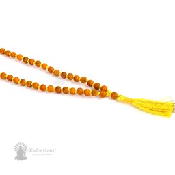 rudra centre Haldi Turmeric Beads mala image 2