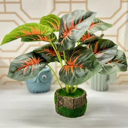 Dekorly Green Plastic Artificial Flowers & Plants With Pot-picture-37