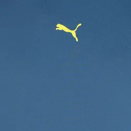 Puma Blue Regular Fit Tank Tee image 5