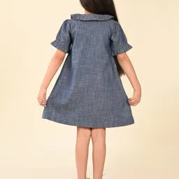 LilPicks Kids Blue Embroidered A Line Dress image 2
