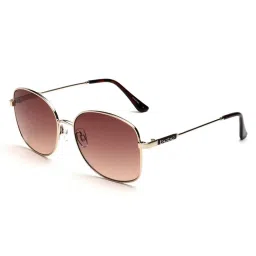 bebe Brown Round Sunglasses for Women image 2