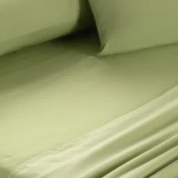 Maspar Colorart Eden Sage Green 144 TC Cotton King Bed Sheet With 2 Pillow Covers image 2