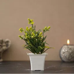 eCraftIndia Green Plastic Fiber Moth Orchid Flower Artificial Plant With Square Pot image 2