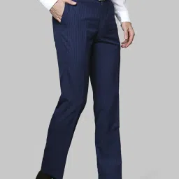Raymond BlueRegular Fit Checks Trousers image 4