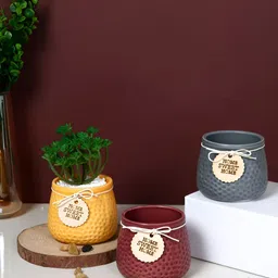 TAYHAA Cozy Charm Red & Yellow 3 Pieces Honeycomb-Patterned Ceramic Flower Planters-picture-35