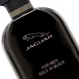Jaguar For Men Gold In Black Eau de Toilette 100 ml image 5