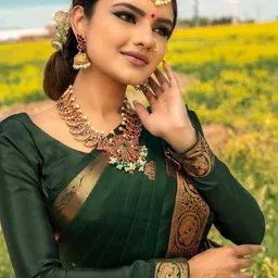 YAMUNE Ethnic Motifs Zari Pure Silk Banarasi Saree image 2