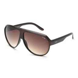 Irus Brown Pilot Sunglasses for Men image 2