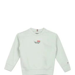 Tommy Hilfiger Kids Grey Solid Sweatshirt-picture-5