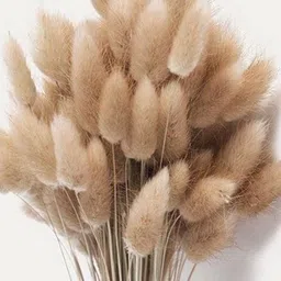 Arte Casa Imported Bunny Tails-picture-15