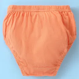 Bodycare Cotton Knit Solid Color Briefs Pack of 4 - Multicolor image 5