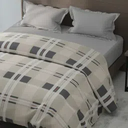 KOPA Coolmax Cotton Feel Beige Microfibre Checks Double Comforter image 2