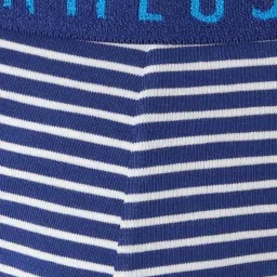 van heusen Vh Innerwear Blue Cotton Regular Fit Striped Briefs image 4