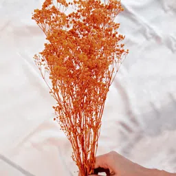 Arte Casa Orange Baby Breaths-image-78