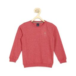 Allen Solly Junior Red Textured Sweatshirt-picture-8