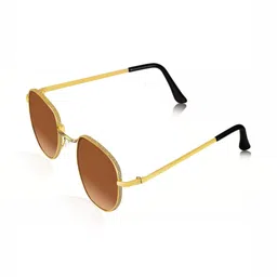 Being Better Unisex Gold Lens & Gold-Toned Round Sunglasses with-picture-24