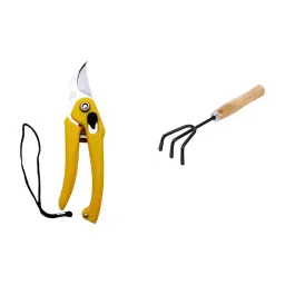 Sky Blue Sk_Bl_Pruner0043 0.98 inch Iron Bypass Pruner (Pack of 2)-image-24
