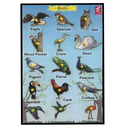 WISSEN Wooden Birds Learning Educational Knob tray Multicolor - 15 Pieces image 3