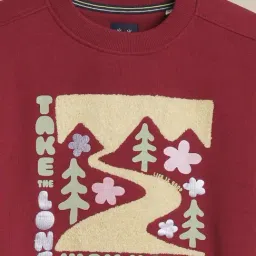 Allen Solly Girls Maroon Cotton Regular Fit Graphic Print Sweatshirt image 3