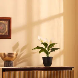 Elemntl Green & White Lily Artificial Plant With Pot image 4