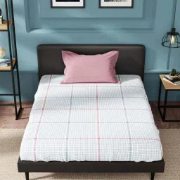 Nautica Fairwater Maroon & Blue 100% Cotton 160 TC Premium Single Bed Sheet With Pillow Cover image 2