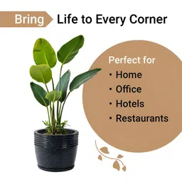 RUBOXA 4Pcs Brown UV ProtectedPlanters image 3