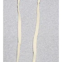 Campus Sutra Grey & Black Regular Fit Hooded Sweatshirt image 4