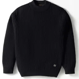 RVK Blended Knit Full Sleeves Ribbed Skivvy Sweater - Black-picture-13