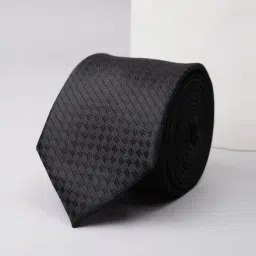 Van Heusen Black Checks Tie-image-79