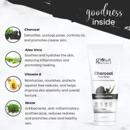 Globus Naturals Charcoal & Radiance Rice Face Wash Combo image 2