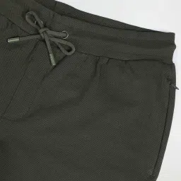 U.S. Polo Assn. Olive Regular Fit Shorts image 4