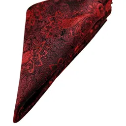 voici Paisley Design Cravats & Pocket Square Combo image 4