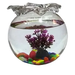 Somil Transparent Glass Decorative Bowl-picture-18