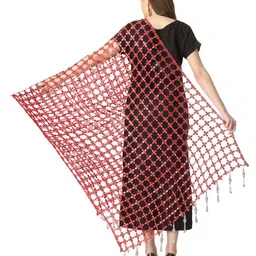 A R SILK DUPATTA HUB Embroidered Dupatta with Mirror Work image 4