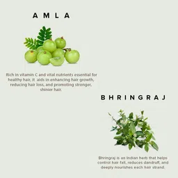 Khadi Natural Amla & Bhringraj Hair Cleanser & Conditioner - 210ml Each image 3