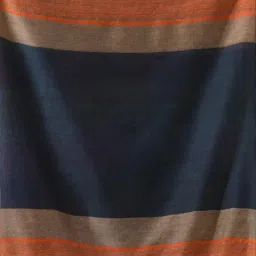 CHARUKRITI Multicolored Cotton Striped Saree With Unstitched Blouse image 4